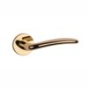 The Ambrosia handle in PVD polished gold brings luxury and elegance to modern interiors, making it a premium choice for interior doors.
