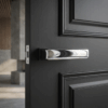 Brisa on Hidden Rosette in polished chrome, presenting durable internal door handles on a dark panelled door.