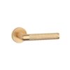 Discover the Lobelia on Round Rosette by Aprile at Tev Handles, a matt gold premium door handle perfect for modern interiors and luxury indoor spaces.