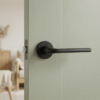Matt black Oleandro on Round Rosette shown on a light green door, highlighting the sleek shape of these versatile round internal door handles.