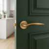 Robinia on Round Rosette in matt gold, minimalist round internal handles styled on a deep green door.